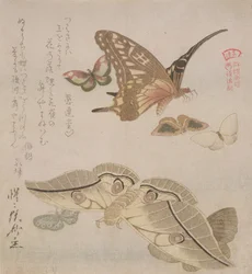 &39;Tsubasa ni wa ...&39; (primeira linha do poema) da série &39;Illustrated Collection of Butterflies&39;, c.1804-18 (xilogravura)